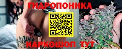 мдма Сланцы